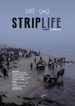 Striplife (2014) Striplife (2014)