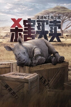 Stroop: Journey into the Rhino Horn War (2018)