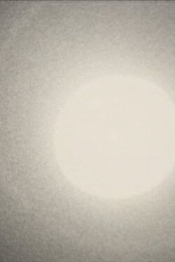 Studio Sunrise (2017)