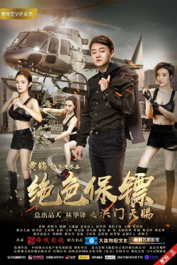 Stunning Bodyguard (2017)