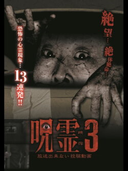 Submitted Ghost Videos That Cannot be Broadcast 3 (2014) Submitted Ghost Videos That Cannot be Broadcast 3 (2014)