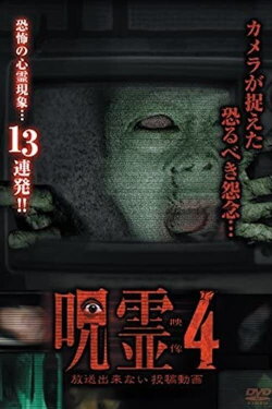 Submitted Ghost Videos That Cannot be Broadcast 4 (2014)