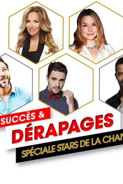 Succès Et Dérapages Spécial Stars De La Chanson (2017) Succès Et Dérapages Spécial Stars De La Chanson (2017)