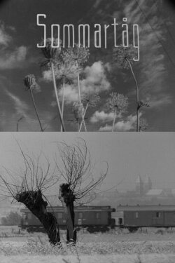 Summer Day (1961)