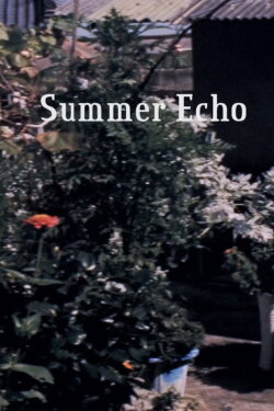 Summer Echo (2017) Summer Echo (2017)