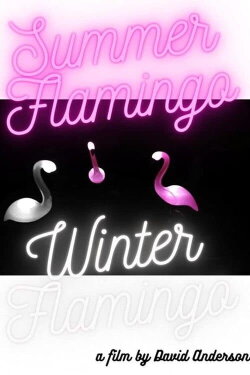 Summer Flamingo Winter Flamingo (2022) Summer Flamingo Winter Flamingo (2022)