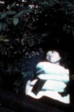 Summer is Gone (1978)