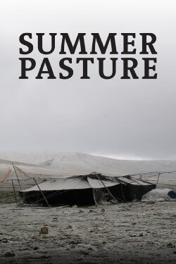 Summer Pasture (2011)