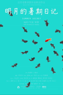 Summer Secret (2014)
