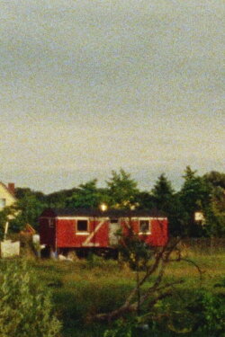 summercycle iv (2023)