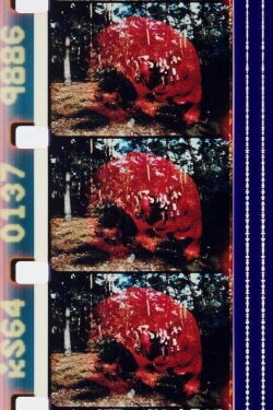 Sun Love (1967)