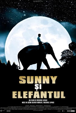 Sunny and the Elephant (2008) Sunny and the Elephant (2008)