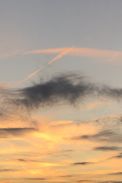 Sunset Sonatina (2024)
