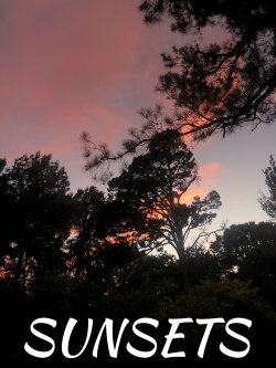 Sunsets (2022) Sunsets (2022)