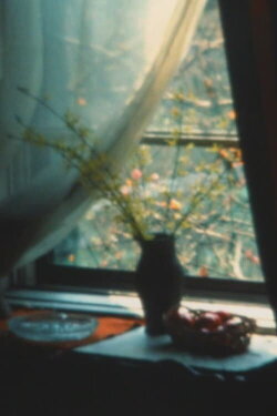 Super 8 Diary - 1985 (1985)
