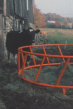 Super 8 Diary - 1991 (1991) Super 8 Diary - 1991 (1991)