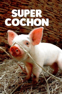 Super cochon (2018)