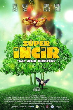 Super Fig (2013) Super Fig (2013)