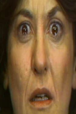 Sur Faces (1977)