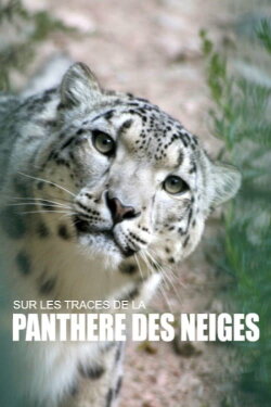 Sur les traces de la panthère des neiges (2018)