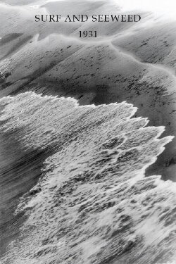 Surf and Seaweed (1931) Surf and Seaweed (1931)