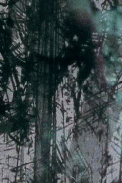 Surfacing (2004)