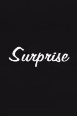 Surprise (2002)