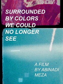 Surrounded by Colors We Could No Longer See (2023) Surrounded by Colors We Could No Longer See (2023)
