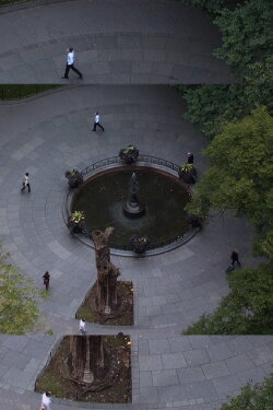 Surveillance (2010) Surveillance (2010)