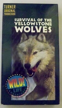 Survival of the Yellowstone Wolves (1996) Survival of the Yellowstone Wolves (1996)