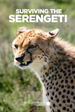 Surviving the Serengeti (2015) Surviving the Serengeti (2015)