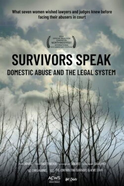 Survivors Speak: Domestic Abuse & the Legal System (2024)