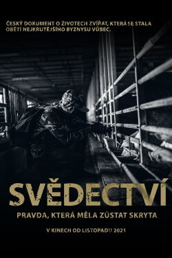 Svědectví: Pravda, která měla zůstat skryta (2021) Svědectví: Pravda, která měla zůstat skryta (2021)