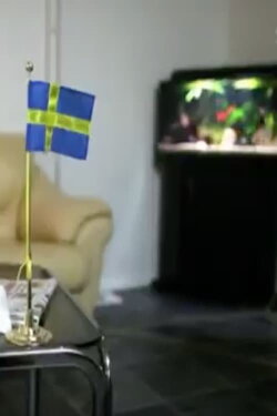 Sverigedemokraterna - vägen till riksdagen (2010) Sverigedemokraterna - vägen till riksdagen (2010)