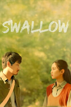 Swallow (2023) Swallow (2023)