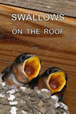 Swallows on the Roof (2002) Swallows on the Roof (2002)