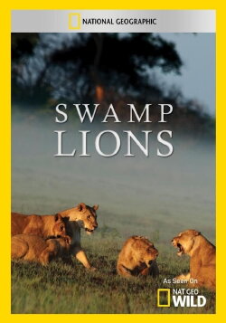 Swamp Lions (2010) Swamp Lions (2010)