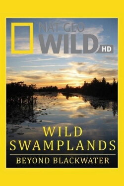 Swamplands USA (2016)