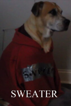 Sweater (2022) Sweater (2022)