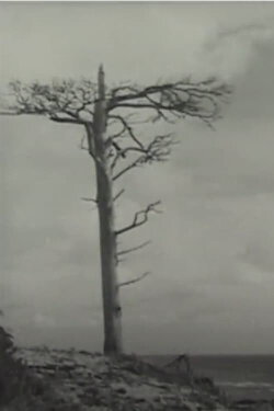 Swedish Outpost (1948)