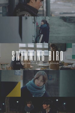 Swimming Bird (2020) Swimming Bird (2020)