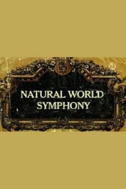 Symphony (2005)