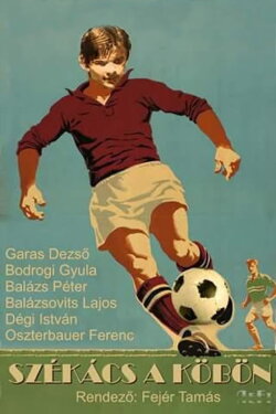 Székács a köbön (1978) Székács a köbön (1978)