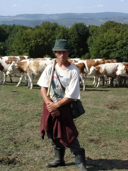 Szolgának születtek (2024)