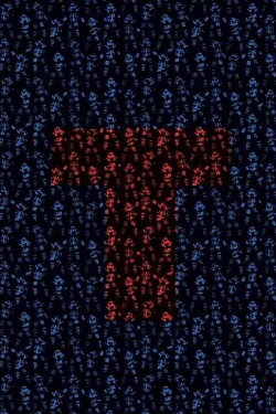 T (2019) T (2019)