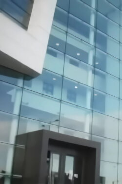 T. Rex In The Atrium (2010) T. Rex In The Atrium (2010)