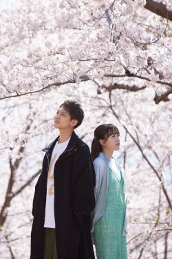 Tada, Anata wo Rikai Shitai (2024)