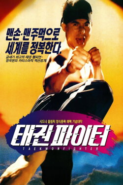 Taekwon Fighter (1995)
