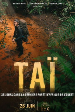 TAÏ: 33 days in the last primary West African forest (2024) TAÏ: 33 days in the last primary West African forest (2024)