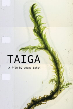 Taiga (2021)